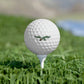 Retro Philadelphia Eagles logo Golf Balls, 6pcs